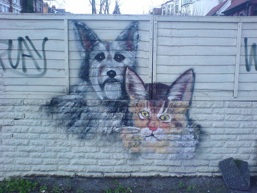 Animal Magic