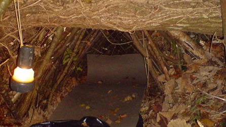 shelter.jpg
