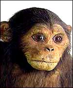 Squire Waterton's monkey (C) Wakefield MDC