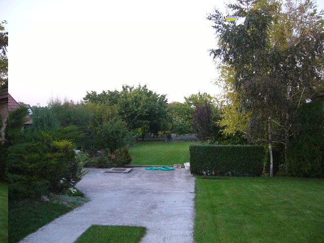 Our garden