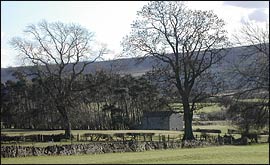 Countryside