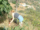 Sue in the garden