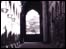 Linda Asquith: Kirkstall Abbey 1