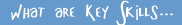 What are Key Skills...