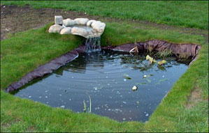 pond
