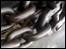 Links