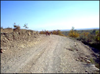 سرک
