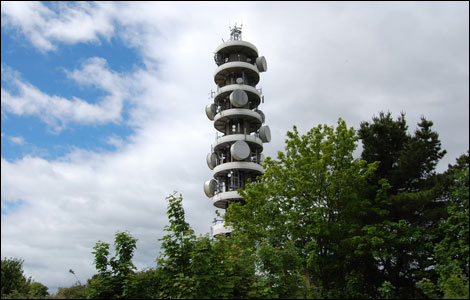 Pur Down mast