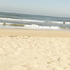Pic: Tidy Beach