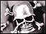 skull and cross bones frojm book cover