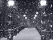 大雪侵袭苏格兰边境的加拉希尔斯（Galashiels）。摄影：Jaron McKay