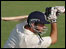 Cricket action