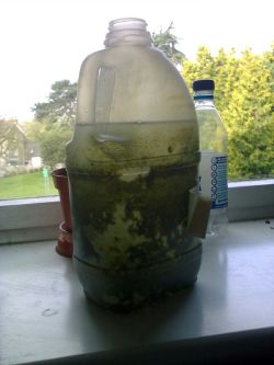 waterbbottlesized.jpg