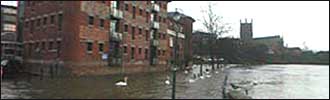 Flood picture