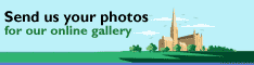 Your Gallery 
