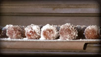 Re-coat plums in sugar
