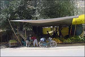 میوه
