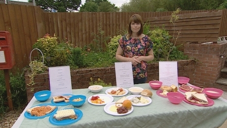 Samples of daily diets from the report