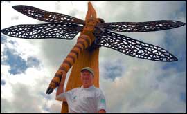 Wooden dragonfly