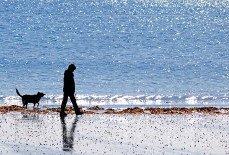 beach3.JPG