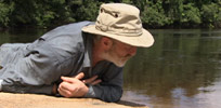 George watches a butterfly on a beach