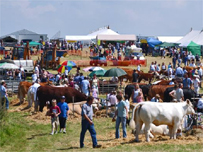 Liskeard Show