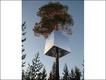  Foto: Cortesía Treehotel