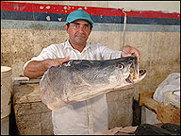 Peste gigantic