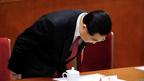 前中国国家主席胡锦涛(17/3/2013)