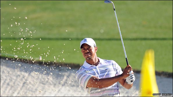 woods595.jpg