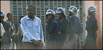zim203x100.jpg