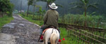 Indonesia