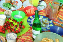 Picnic