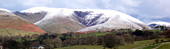 Wensleydale