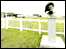 Winners Parade at Cheltenham Racecourse