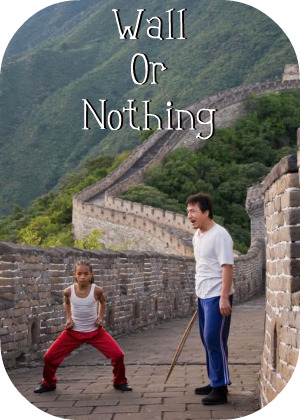 The Karate Kid 2