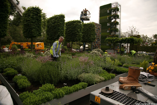 The B&Q Garden