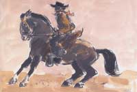 Gaucho