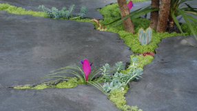 concreation_planting.jpg