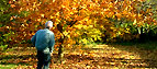 Gordon Evans in his garden