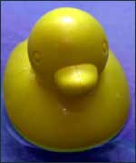 duck-race-150.jpg