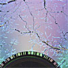 A very badly damaged CD