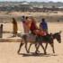 Abu Shouk displaced peoples camp, North Darfur