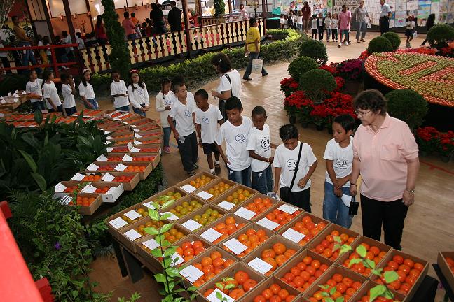 caqui exhibition