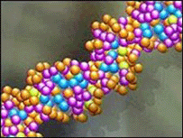 DNA