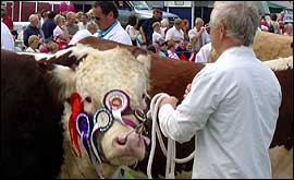 Leek Show