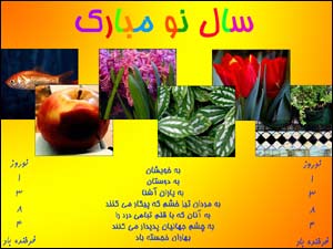 روزبه رجبی