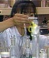 Laboratory