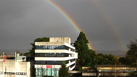 double_rainbow.jpg