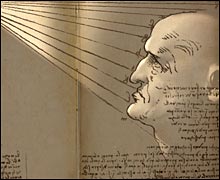 Anatomical drawing by Leonardo da Vinci